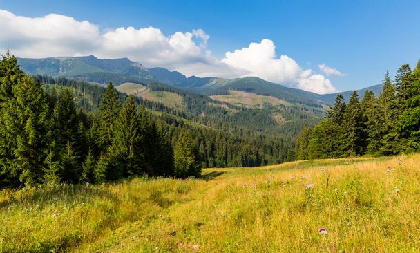 красивый горный ландшафт в Низких Татрах, Словакия
 - Фото, изображение