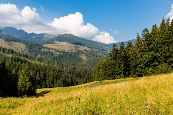 a táj szép hegyi-völgy az Alacsony-Tátra, Szlovákia - Fotó, kép