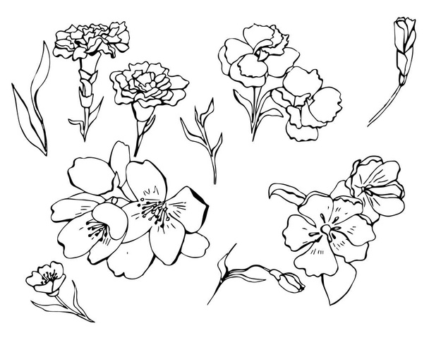 Doodle vector flowers in vintage. Without color isolated. Great fo different web usages as well as printed ones - Vektör, Görsel
