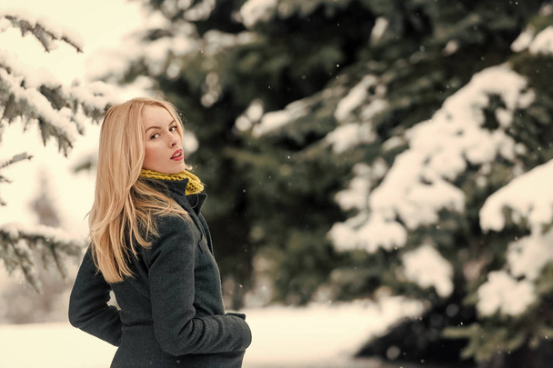 Woman with long blond hair on winter day - 写真・画像