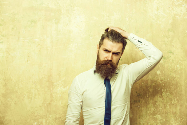 hipster or bearded man with long beard on serious face - Fotoğraf, Görsel