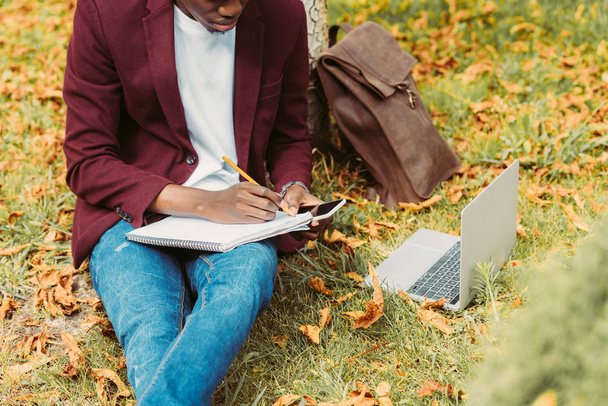 cropped view of african american freelancer writing documents, working with laptop and smartphone on grass in park - Foto, Bild