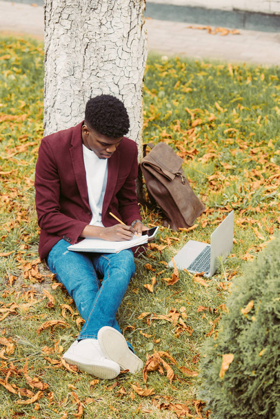 handsome young african american freelancer writing and working with laptop and smartphone on grass in park - Photo, image