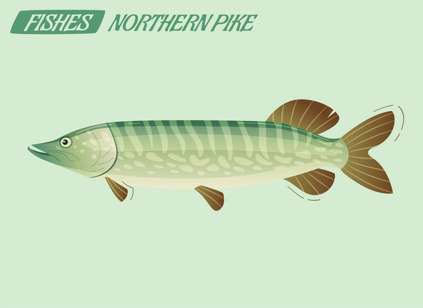 Fish character. Cartoon vector illustration - Vektor, obrázek