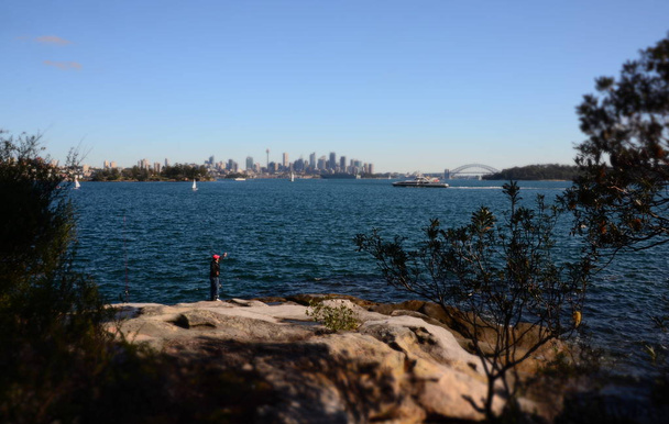 Veduta dello skyline di Sydney e del porto di Sydney dal Nielsen Park
. - Foto, immagini