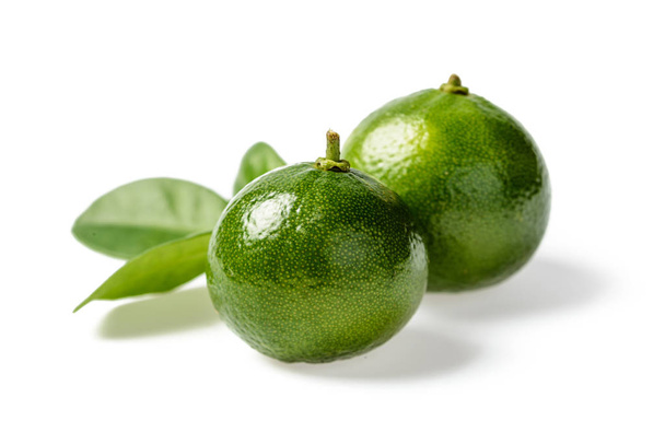 small green lime on white, tilt shift lens - Photo, Image