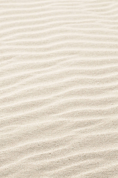 Natural background of beige sand texture. - Foto, Bild