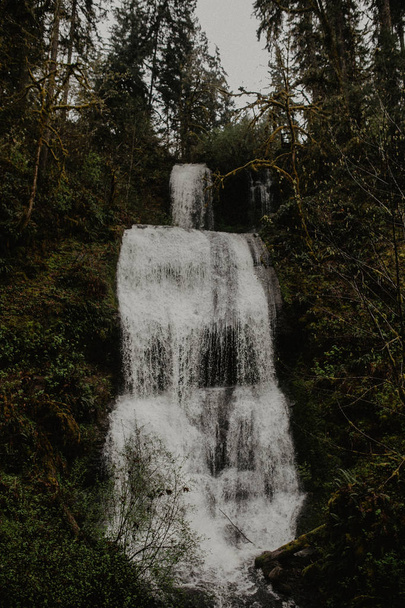 Flowing waterfall in green forest - Fotoğraf, Görsel