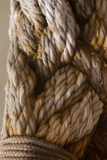 Thick nautical rope - Foto, Bild