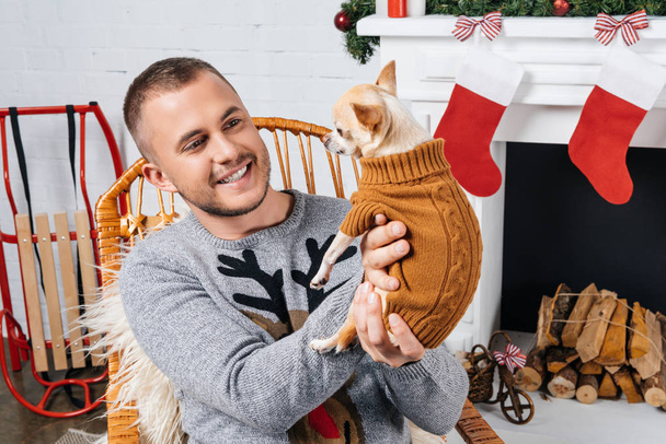 クリスマスの装飾が施された部屋でチワワ犬を保持している笑みを浮かべて男の肖像 - 写真・画像