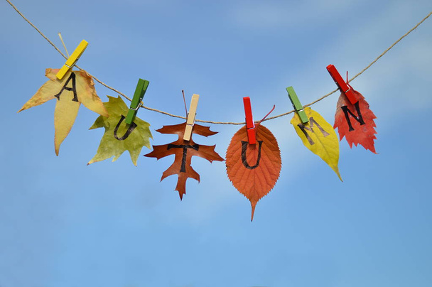 tekenreeks met bladeren en brieven spelling: herfst voor blauwe hemel - Foto, afbeelding
