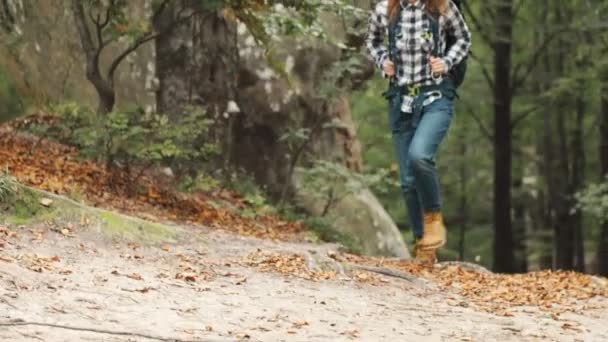 Woman Backpacks through Mountains - Filmati, video