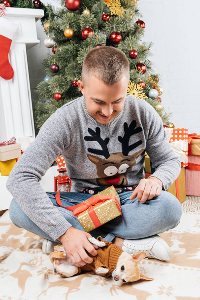 young man with christmas present playing with little chihuahua dog at home - Foto, Bild