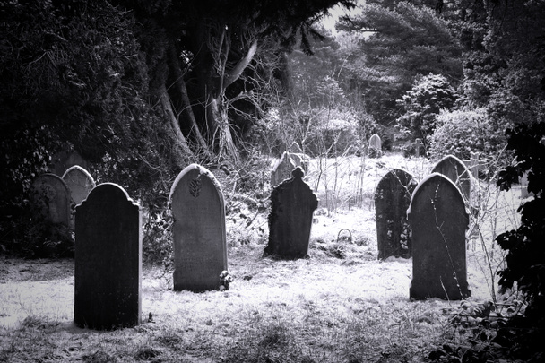 Mezarlık ve kar - Fotoğraf, Görsel