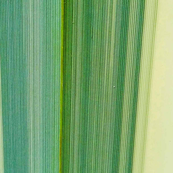 縦線と緑の別の色合いの葉の繊維 - 写真・画像