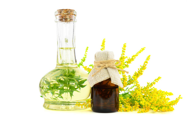 Extracto de aceite esencial de hierbas medicinales de Solidago (Goldenrod). Aislado sobre fondo blanco
. - Foto, Imagen