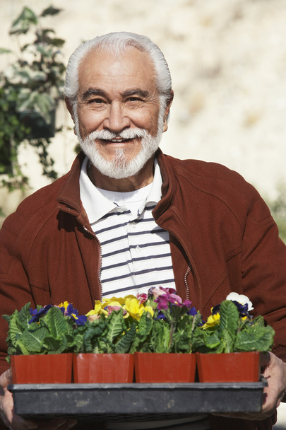 Senior Man Holding Tray With Flowerpots - Zdjęcie, obraz