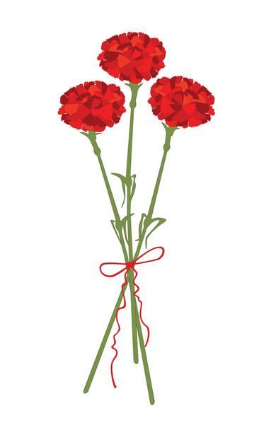 flores de cravo
 - Vetor, Imagem