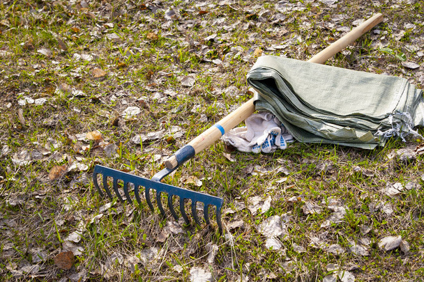 Rakes, gloves and bags for collecting leaves. The concept: cleanliness, cleaning, ecology, nature, subbotnik. - Photo, Image