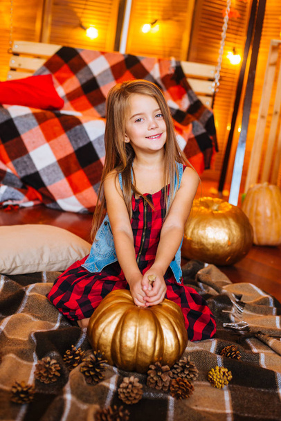 Little cute girl with long curly hair near the swing and pumpkins in a red in a plaid dress  and blankets - Photo, Image