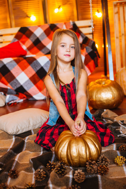 Little cute girl with long curly hair near the swing and pumpkins in a red in a plaid dress  and blankets - Photo, Image