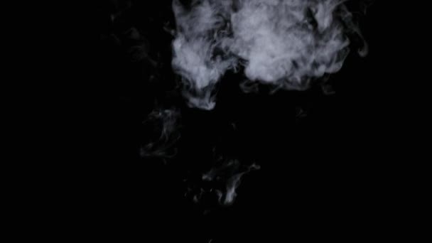 Realistische droge rookwolken mist - Video