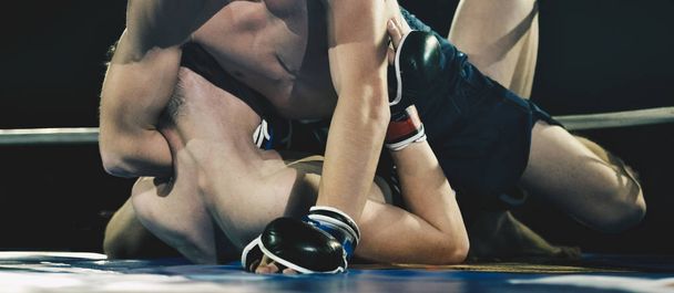 MMA savaşçıları halkası üzerinde - Fotoğraf, Görsel