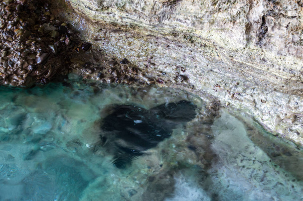 atemberaubende höhle an der meerküste von palinuro cilento italien - Foto, Bild