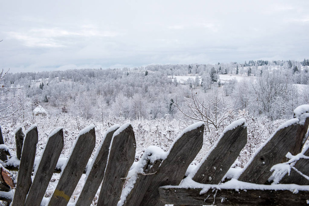 Paesaggio invernale con alberi innevati e colline - Foto, immagini