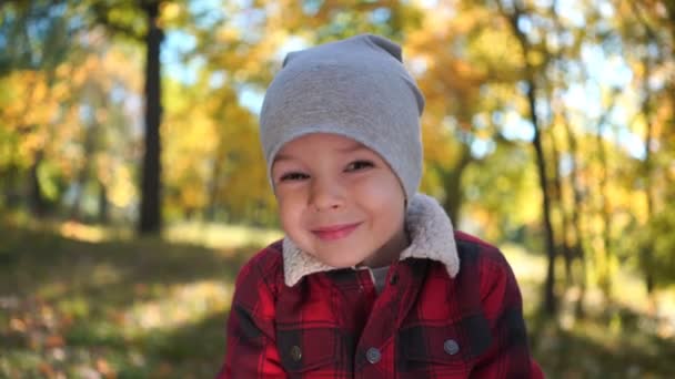 Portret van een gelukkige jongen in het najaar park - Video