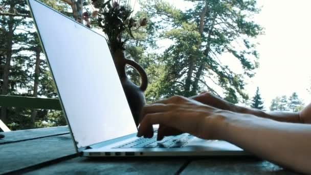 Teletrabajo, comunicación en Internet o educación a distancia por naturaleza, una mujer escribiendo en un ordenador portátil al aire libre en verano de cerca
 - Metraje, vídeo