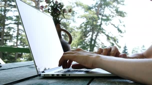 Γυναίκα που πληκτρολογείτε σε ένα φορητό υπολογιστή σε εξωτερικούς χώρους το καλοκαίρι close-up. Τηλεργασία, επικοινωνία στο διαδίκτυο ή την εκπαίδευση από τη φύση - Πλάνα, βίντεο