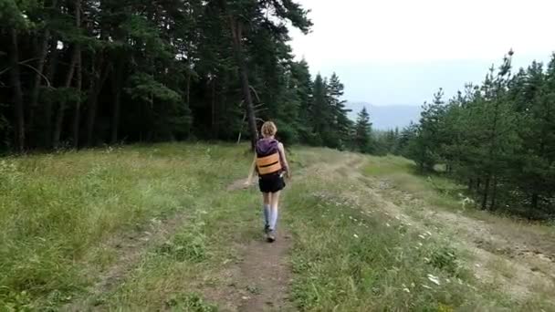 Τουριστική γυναίκα με ένα σακίδιο που περπατά με ένα σακίδιο σε ένα εθνικό πάρκο στο δάσος το καλοκαίρι, αργή κίνηση - Πλάνα, βίντεο