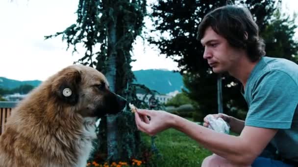 O homem partilha uma refeição com um cão vadio com um pedaço de pão. Cara acariciando um bom cachorro lascado no parque
 - Filmagem, Vídeo