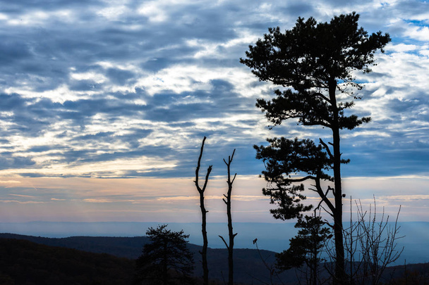 Dağ ağaçlar Michaux devlet orman Pennsylvania Güz... - Fotoğraf, Görsel