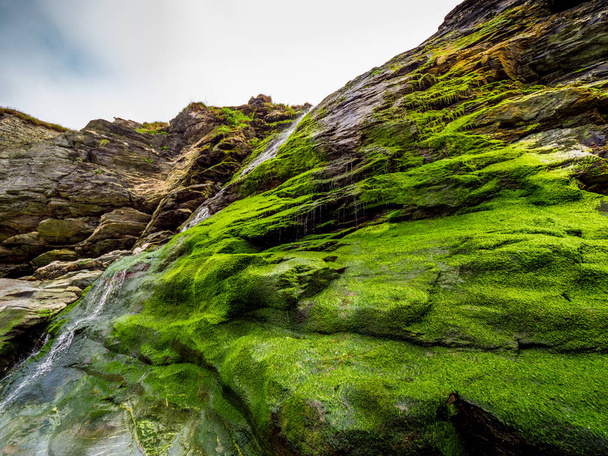 Beautiful waterfall over mossy stones in the Cove of Tintagel in Cornwall - Foto, Imagen