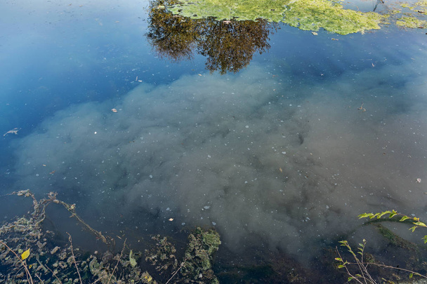 Manchas de aceite sucio en la superficie del agua del lago contaminada como resultado de la escorrentía de aguas industriales residuales. Mancha el aceite después de lavar el coche cerca del lago. Problema ecológico
. - Foto, imagen