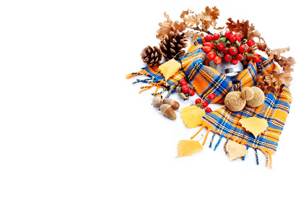 Happy Thanksgiving Day background. White background decorated with Pumpkins, Maize, fruits and autumn leaves. Autumn festival. Harvest festival. The view from the top. Horizontal. - Photo, Image