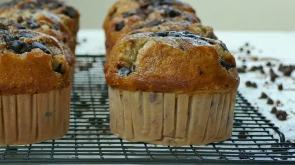 deliziosi muffin fatti in casa con gocce di cioccolato sulla griglia metallica
 - Filmati, video