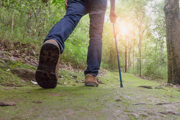 Gros plan sur les chaussures homme randonneurs. Un homme marche le long d'un sentier dans les bois, Promenade dans la forêt pour escalader la montagne
. - Photo, image