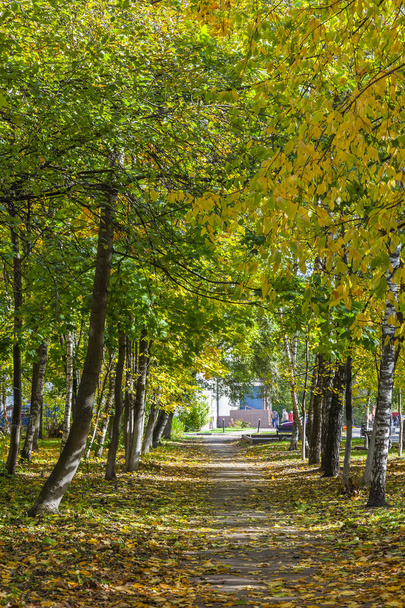 Pushkino, Rusko, na 9 října 2018. Městské krajiny. Stromy s pestrobarevným listí na podzim v boulevard - Fotografie, Obrázek