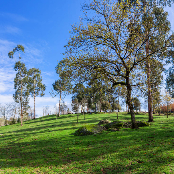 Grande prato erboso verde, alberi e massi di granito nel Parco Urbano Parque da Devesa. Vila Nova de Famalicao, Portogallo
 - Foto, immagini