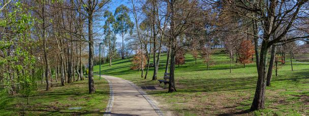 Empty dirt path, track, trail or pathway through the trees and green grass lawn in Parque da Devesa Urban Park. Vila Nova de Famalicao, Portugal - Photo, Image