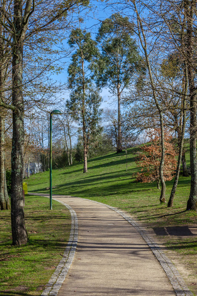 Empty dirt path, track, trail or pathway through the trees and green grass lawn in Parque da Devesa Urban Park. Vila Nova de Famalicao, Portugal - Photo, Image