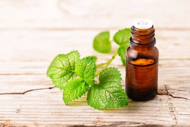 lemon balm essential oil in the bottle, on the wooden board - Photo, Image