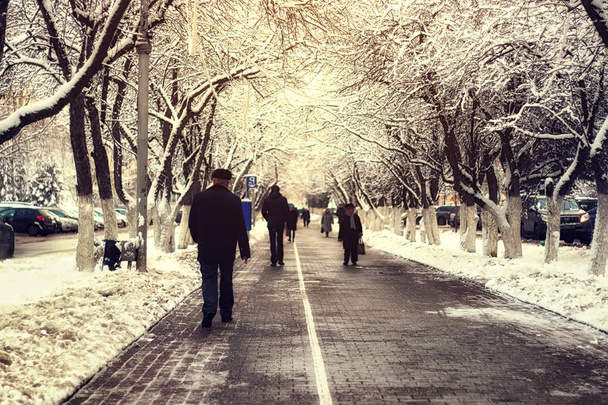 πεζόδρομου/διάδρομου δέντρο Χειμώνας - Φωτογραφία, εικόνα