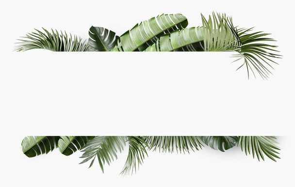 Tropikal tema arka plan çerçeve yaprakları ile - Fotoğraf, Görsel