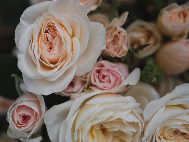 Pink roses. Rose bouquet. Vintage flower arrangement. - 写真・画像