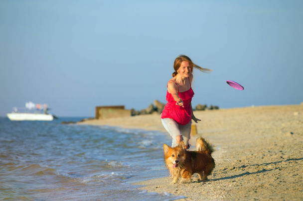 fröhliches Spaßwochenende am Meer - Mädchen spielen am Frisbee mit einem Hund am Strand. Summen - Foto, Bild