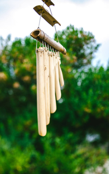 Wooden wind chimes in Japanese garden - Photo, Image